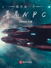 我只是一个普通NPC